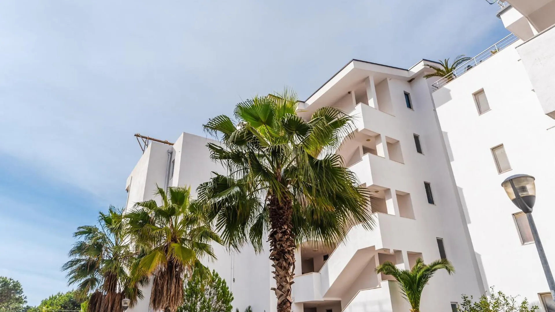 Seaside Palms Oasis By Ps Daire Golem