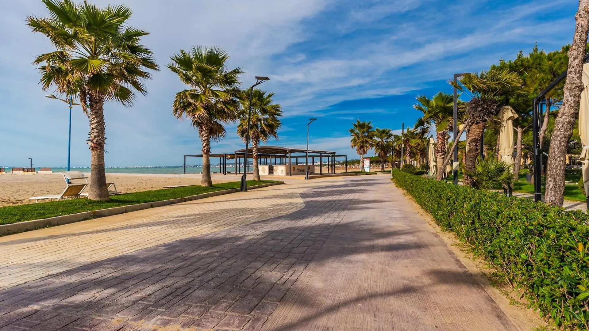 Seaside Palms Oasis By Ps Daire Golem